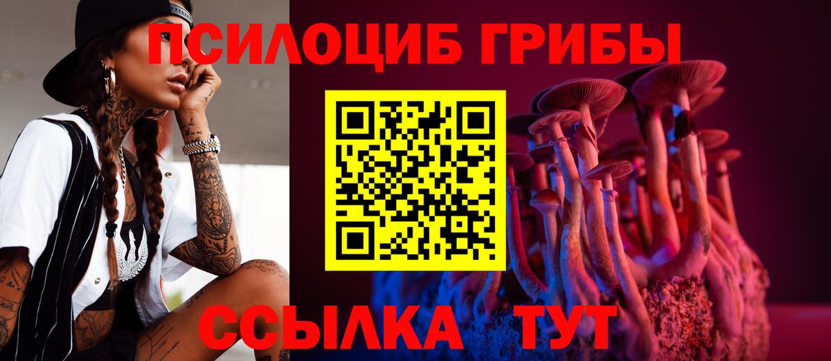 Псилоцибиновые грибы Magic Shrooms  Псилоцибиновые грибы Psilocybine cubensis  Вход с VPN  наркотики  Псков 